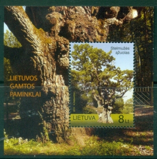 Lithuania-2010-The-Oak-Tree-of-Stelmuze-MS-MUH