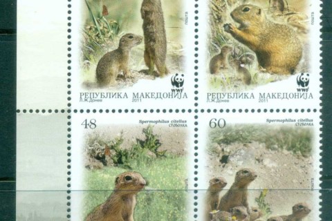 Macedonia-2011 WWF European Ground Squirrel