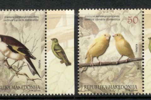 Macedonia-2015-Birds-MUH