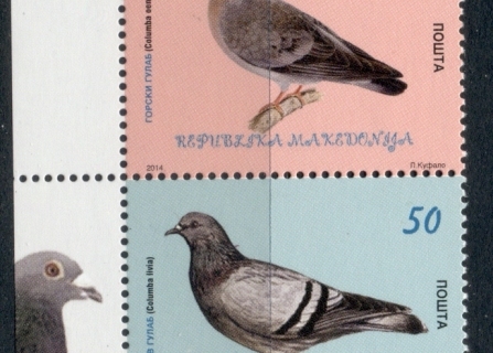 Macedonia-2015-Birds