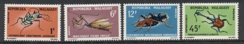 Madagascar-1966 Insects