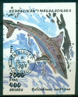 Madagascar-1993 Sharks MS