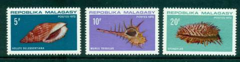 Madagascar-1970 Seashells