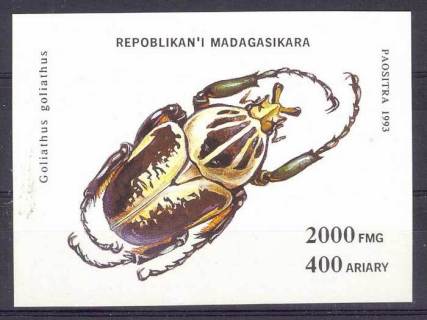 Madagascar-1993 Goliath Beetle MS