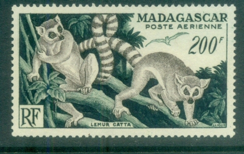 Madagascar-1954 Ring Tailed Lemur