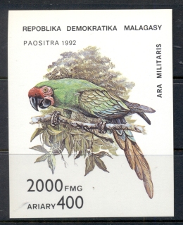 Madagascar-1993-Birds