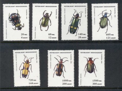 Madagascar-1994-Insects-Beetles-Muh