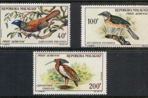 Madagascar-1963 Birds