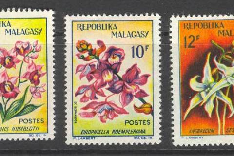 Madagascar-1963 Flowers