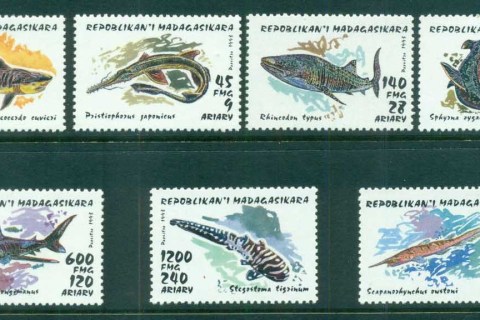 Madagascar-1993-Marine-Life