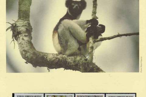 Madagascar-1988 WWF Primates in Peril