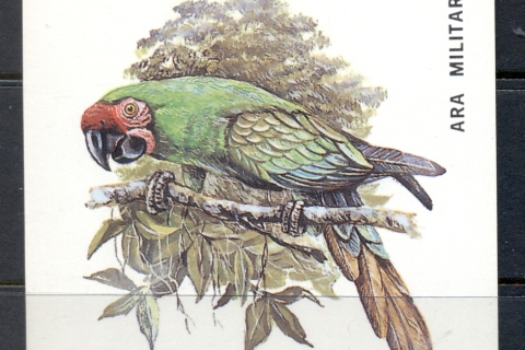 Madagascar-1993-Birds