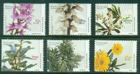 Madeira-2000-Plants-from-Madeira-Bay-MUH Madeira-2000-Plants-from-Madeira-Bay-MUH