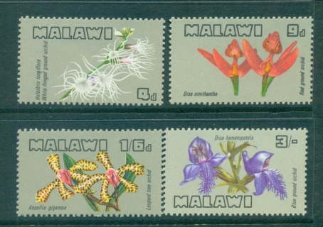 Malawi-1969-Orchids