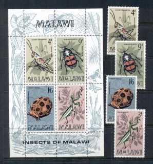 Malawi-1970-Insects-MS-MUH