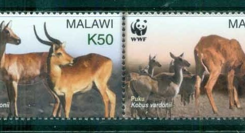 Malawi-2003 WWF Puku