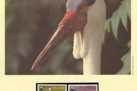 Malawi-1987 WWF Wattled Crane