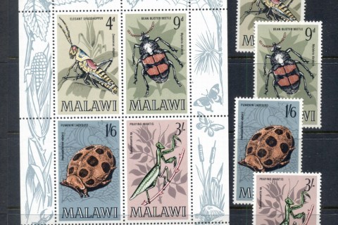 Malawi-1970-Insects-MS-MUH