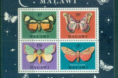Malawi-1970-Insects