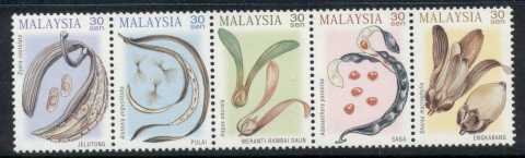 Malaysia-2000-Tree-Seeds-MUH