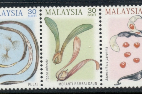 Malaysia-2000-Tree-Seeds-MUH
