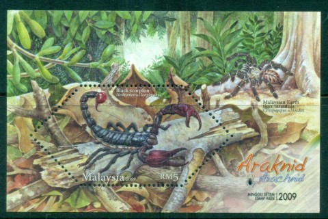 Malaysia-2009-Arachnids