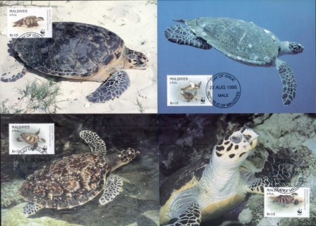 Maldive-Is-1995-WWF-Hawksbill Turtle Maxicards