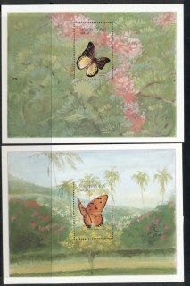 Maldive-Is-1987-Insects_1