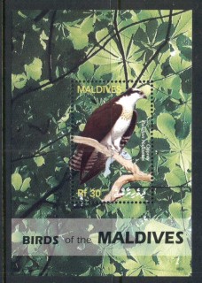 Maldive-Is-2006-Birds