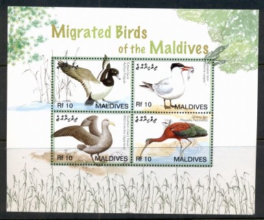 Maldive-Is-2007-Birds-MS-MUH