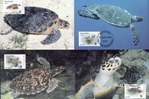Maldive-Is-1995-WWF-Hawksbill Turtle Maxicards