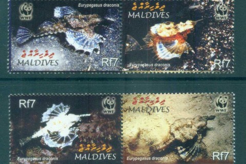 Maldive-Is-2004-WWF Dragonfish
