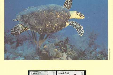Maldive-Is-1995-WWF Hawksbill Turtle