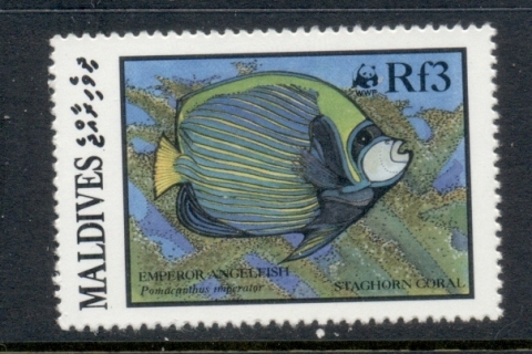 Maldive-Is-1986-Marine-Life_3