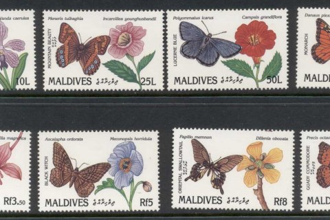 Maldive-Is-1991-Insects