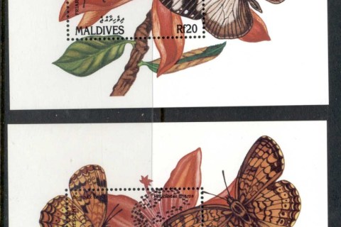 Maldive-Is-1991-Insects_1