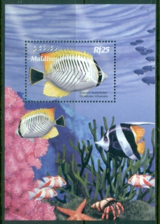 Maldive-Is-2003-Marine-Life-Fish-MS-MUH