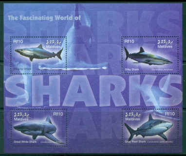 Maldive-Is-2004-Fascinating-World-of-Sharks-MS-MUH_1