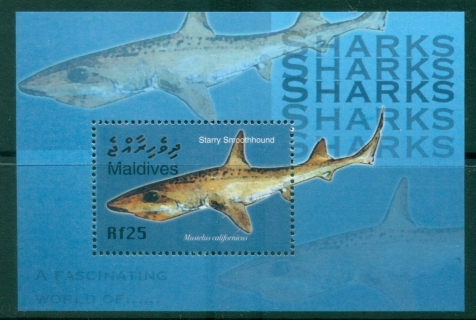 Maldive-Is-2004-Fascinating-World-of-Sharks-MS-MUH_2