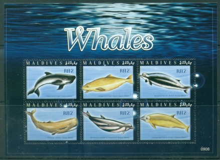 Maldive-Is-2009-Whales-MS-MUH