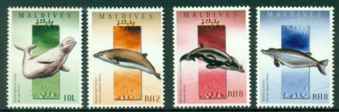 Maldive-Is-2009-Whales-MUH