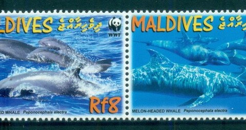 Maldive-Is-2010-WWF-Melon-Headed-Whale-lot82490