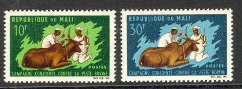 Mali 1967 Inoculation of Zebu