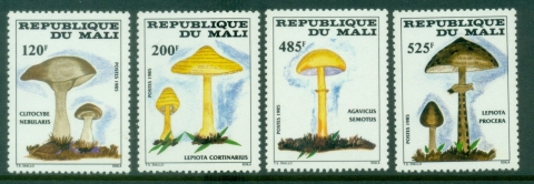 Mali-1985-Fungi-Mushrooms-MUH