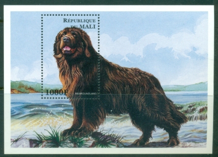 Mali-1997-Dogs-MS-MUH
