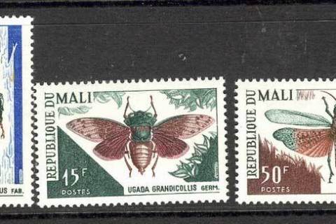 Mali-1966-Insects