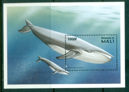 Mali-1997-Marine-Life-MS-MUH_1