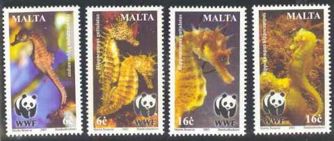 Malta-2002-WWF-Seahorse