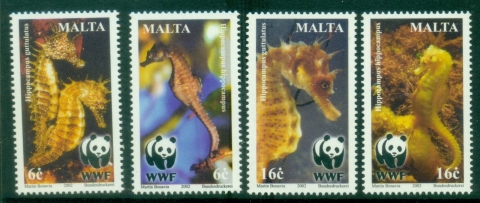 Malta-2002-WWF-Seahorses-MUH