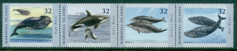Marshall-Is-2012-Marine-Life-Whales-MUH